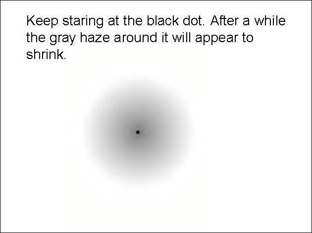 Optical Illusion Number 2