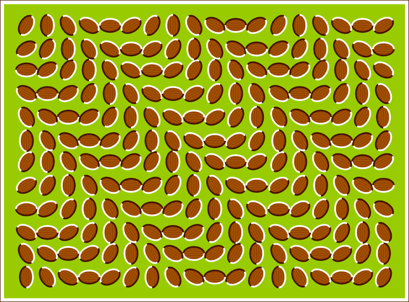 Optical Illusion Number 6
